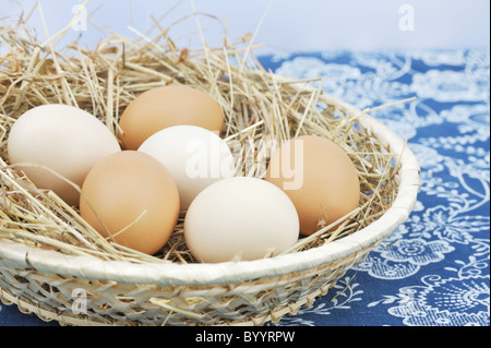 Frische Landeier in Scuttle mit Heu - Stillleben Stockfoto