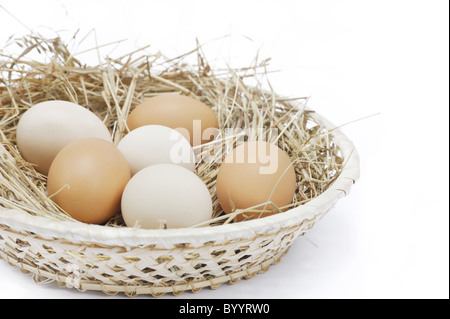 Frische Landeier - Ausschnitt Stockfoto