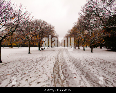 Greenwich Park in London nach voller Schnee Stockfoto