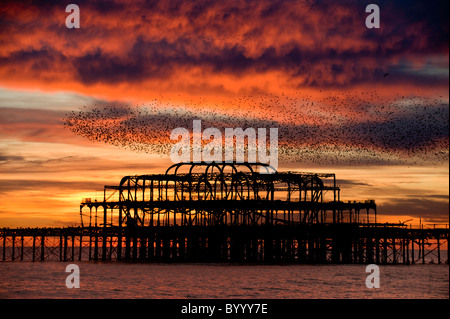 Die Ruinen der West Pier, Brighton. Stockfoto