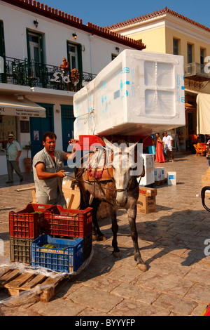 Pack Pony bewegt einen Kühlschrank auf Hydra, griechischen Saronischen Inseln Stockfoto