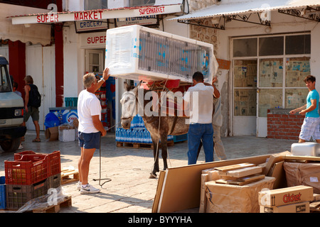 Pack Pony bewegt einen Kühlschrank auf Hydra, griechischen Saronischen Inseln Stockfoto