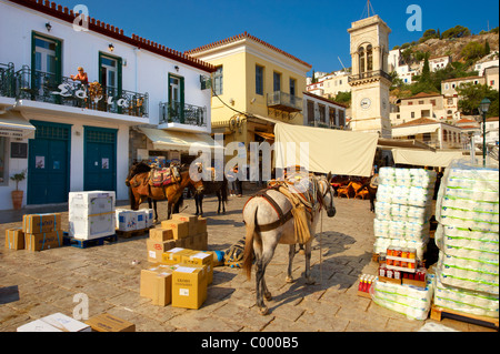 Ponys warten darauf, beladen mit waren auf Hydra, griechischen Saronischen Inseln werden zu packen Stockfoto