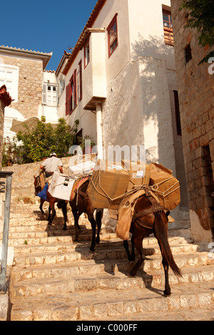 Pack-Ponys, die Treppenstufen auf Hydra, griechischen Saronischen Inseln Stockfoto