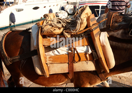 Pack Ponys Sättel hautnah auf Hydra, griechischen Saronischen Inseln Stockfoto