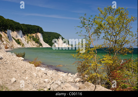 Insel Rügen, Ostdeutschland, Ostsee, Küste mit den berühmten Kreidefelsen Stockfoto