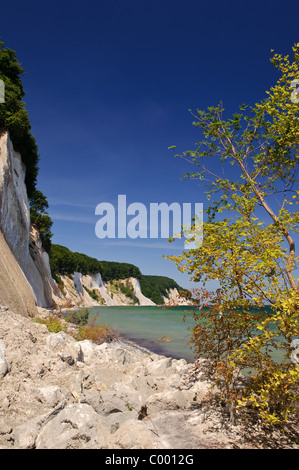 Insel Rügen, Ostdeutschland, Ostsee, Küste mit den berühmten Kreidefelsen Stockfoto