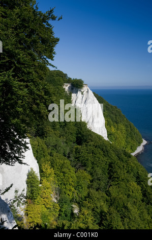 Die berühmten Kreidefelsen auf der Insel Rügen, Ostsee, Deutschland, Europe Stockfoto