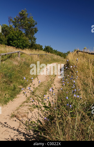 Insel Hiddensee, Landschaft, Ostsee, Küste, Insel, Deutschland Stockfoto