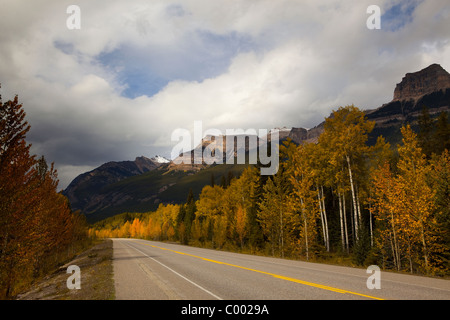 Highway 93, Icefields Parkway durch Jasper Nationalpark, Alberta, Kanada Stockfoto