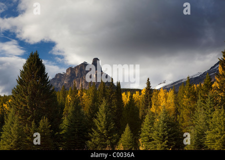 Open fields and fall colors with mountain views, Banff National Park, Alberta, Canada Stockfoto