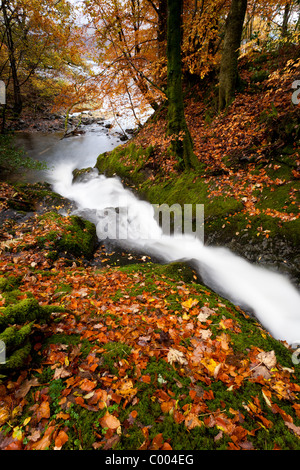 Stürzenden Wasser der Allt Goirtean ein Chladaich am westlichen Ufer des Loch Linnhe. Stockfoto