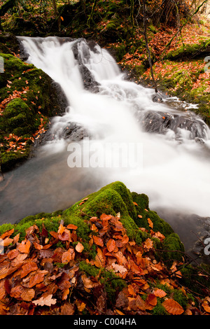 Stürzenden Wasser der Allt Goirtean ein Chladaich am westlichen Ufer des Loch Linnhe. Stockfoto