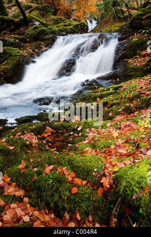 Stürzenden Wasser der Allt Goirtean ein Chladaich am westlichen Ufer des Loch Linnhe. Stockfoto