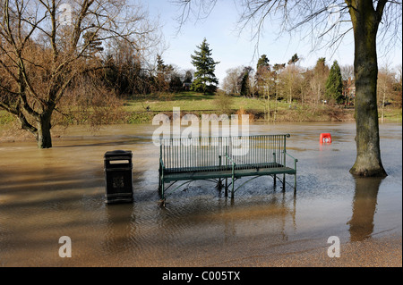 Fluß Severn in Flut vor der Steinbruch, Shrewsbury, Shropshire, Februar 2011 Stockfoto