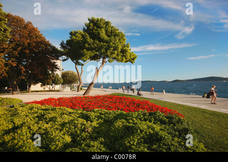 Riva von Zadar, Kroatien Stockfoto