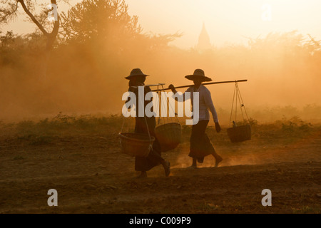 Frauen in ländlichen Gebieten tragen Körbe bei Sonnenuntergang, Bagan (Pagan), Myanmar (Burma) Stockfoto