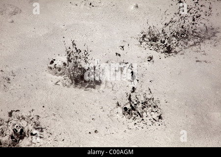 Brodelnde Schlamm Töpfe im Sol de Mañana geothermischen Feld Sur Lípez, Potosi, Süd-West, Bolivien, Südamerika. Stockfoto