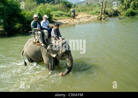 Touristen, die Reiten Elefanten in Pai River, Thailand Stockfoto