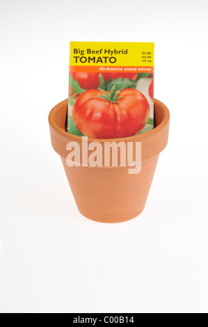 Paket von Tomate Samen im Tontopf auf weißem Hintergrund, isoliert. Konzept Stockfoto