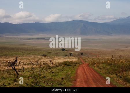 Straße in Ngorongoro Crater, Tansania, Afrika Stockfoto