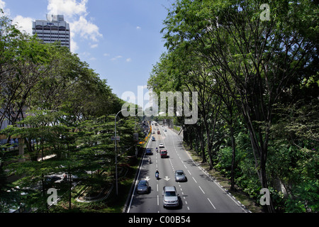 Von Bäumen gesäumten Straße in Kuala Lumpur, Malaysia Stockfoto