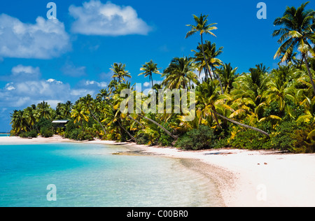 Palm von Bäumen gesäumten Strand Tapuae Tai Insel Stockfoto