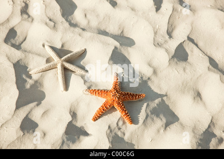 Schönen Sommer Urlaub Strand Hintergrund mit Textfreiraum Stockfoto