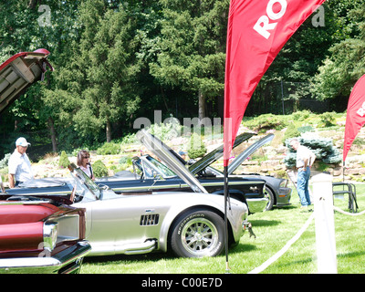 Personen an Autos beim Concours d ' Elegance in Oakland University Meadow Brook Hall in Rochester, Michigan, USA Stockfoto