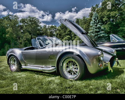 Concours d ' Elegance ist in Oakland University Meadow Brook Hall in Rochester, Michigan Silber Roadster statt. Stockfoto