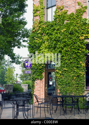 Ein kleines Café im Freien mit Metall Tische und Stühle vor einem Weinstock abgedeckt Wand in Lexington Michigan eine Kurort. Stockfoto