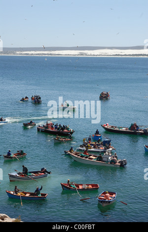 Fischer und Boote, die darauf warten, ihren Fang anlanden Stockfoto