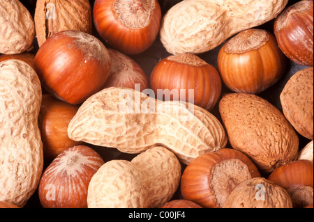 Makro des schönen Hintergrund Muttern Stockfoto