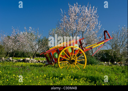 Rustikale lackierte Wagen in einem Feld mit Mandelblüte, Portugal, der Algarve, im Frühjahr Stockfoto