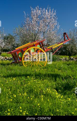 Rustikale lackierte Wagen in einem Feld mit Mandelblüte, Portugal, der Algarve, im Frühjahr Stockfoto