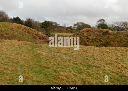 Blackdown Ringe sind die Reste einer prähistorischen Burgberg in Devon, Südwestengland Stockfoto