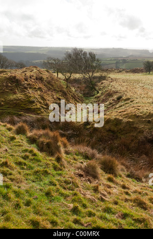 Blackdown Ringe sind die Reste einer prähistorischen Burgberg in Devon, Südwestengland Stockfoto