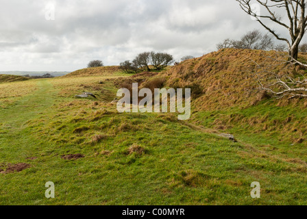 Blackdown Ringe sind die Reste einer prähistorischen Burgberg in Devon, Südwestengland Stockfoto