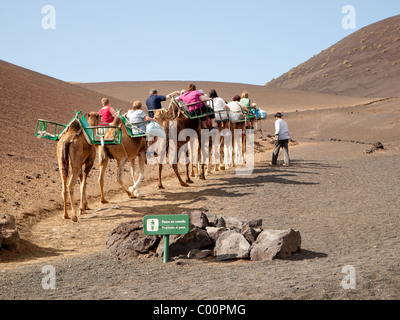 Ein Kamel-Treiber führt einen Kamelen Zug mit Touristen in den Timanfaya-Nationalpark auf Lanzarote Stockfoto