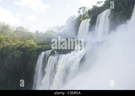 Teil [Iguassu Falls] [Iguazu Wasserfälle] die untere Spur auf der argentinischen Seite entnommen Stockfoto