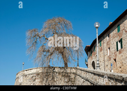 Castiglione del Lago Stadt am Trasimeno See, Perugia Grafschaft, Umbrien, Italien Stockfoto