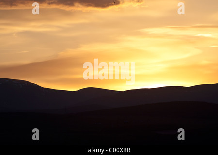 Sonnenuntergang über Ben Wyvis Stockfoto