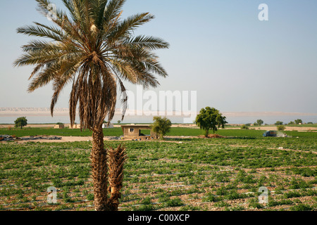 Blick über das fruchtbare Land auf der Lisan-Halbinsel weiter zum Toten Meer, Jordanien. Stockfoto