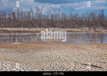 Trockene Salzebenen am Cabo Rojo Tier-und Pflanzenwelt bewahren, Puerto Rico Stockfoto