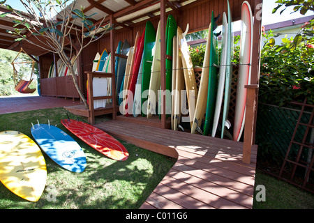 Surfbretter in Mar Azul Surfshop in Rincón, Puerto Rico Stockfoto