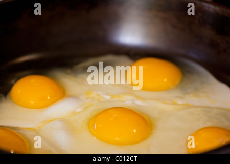 Fünf gelbe Eigelb Eiern Kochen in einem schwarzen Besetzung Eisen Pfanne. Stockfoto