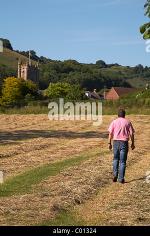 reifer Mann zu Fuß durch Acker in Richtung Cerne Abbas Kirche im Juni Stockfoto