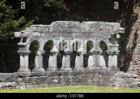 Reste des Klosters, Cong Abbey, County Mayo, Connacht, Republik Irland, Europa Stockfoto