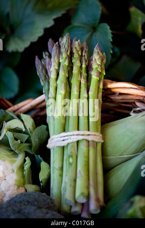 Eine Reihe von Spargel in einen Korb mit frischem Gemüse Stockfoto