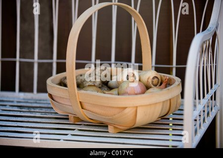 Eine Trug voller Pastinaken, Kartoffeln und Zwiebeln Stockfoto